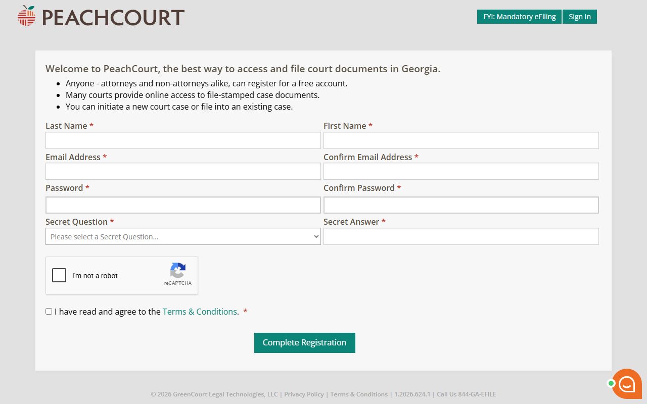 Long County Clerk of Superior Court PeachCourt registration fields