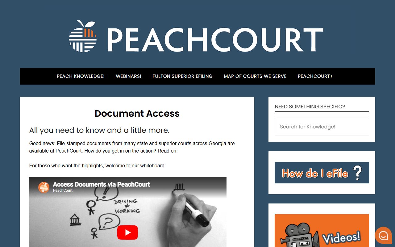 Long County Clerk of Superior Court PeachCourt document access FAQ